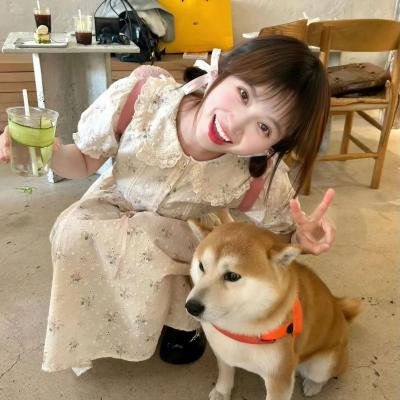 刺猬与城市