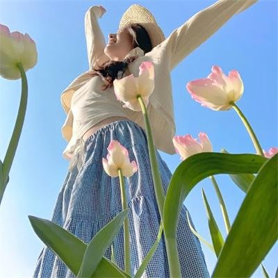 神骡大闹纽约城